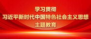 艹屄一区视频学习贯彻习近平新时代中国特色社会主义思想主题教育_fororder_ad-371X160(2)